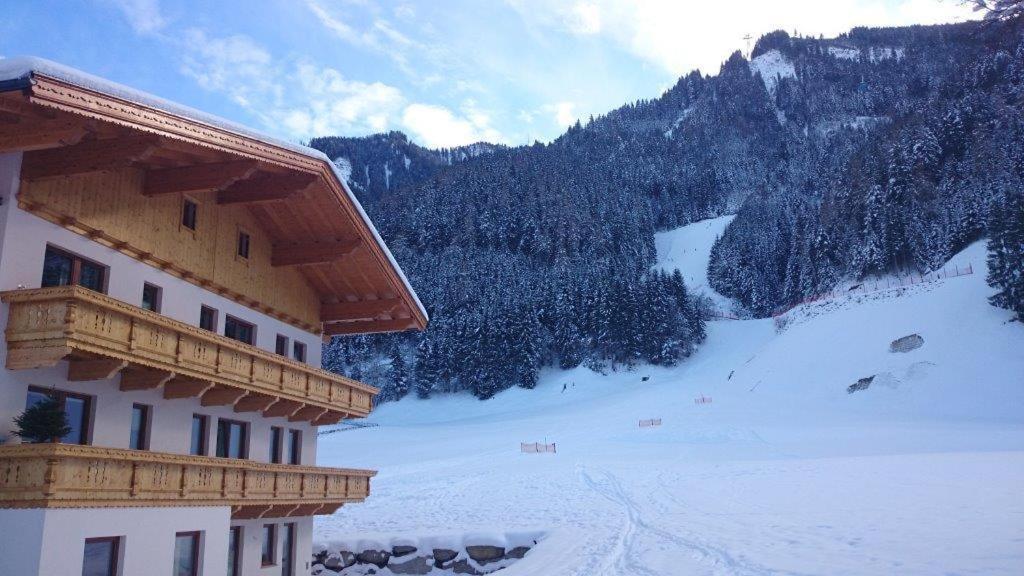 Apart Geisler Майрхофен Номер фото